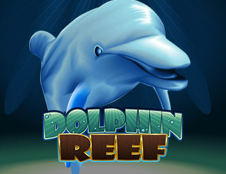 ninegames_dolphin_reef 真人百家乐娱乐海豚乐园